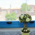 Alterna Koey Evi Sokakagzi