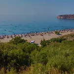 Alterna Koey Evi