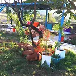 Alterna Koey Evi Venkovský dům Sokakagzi