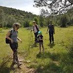 Alterna Koey Evi * Sokakagzi