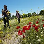 Alterna Koey Evi Venkovský dům Sokakagzi