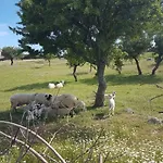 Alterna Koey Evi Venkovský dům