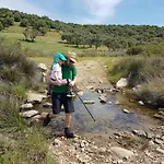 Alterna Koey Evi * Sokakagzi