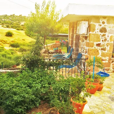 Alterna Koey Evi Country house *