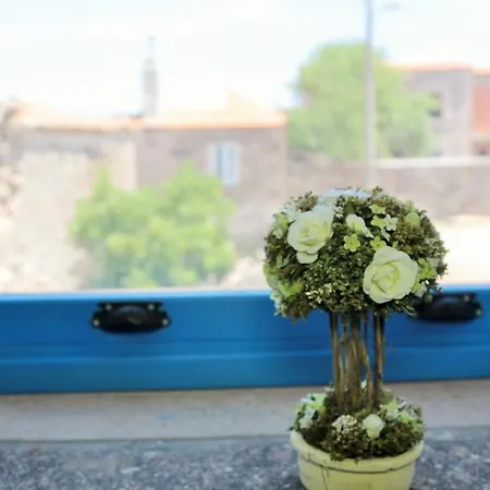 Alterna Koey Evi Ayvacik (Canakkale)