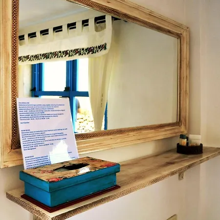 Alterna Koey Evi Country house *