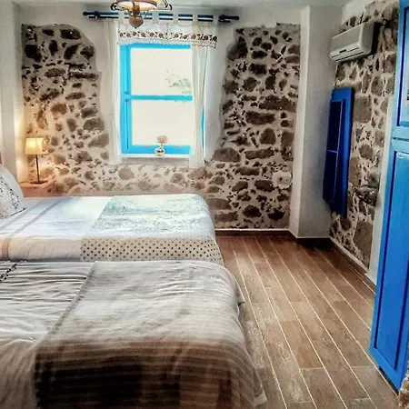 Alterna Koey Evi *