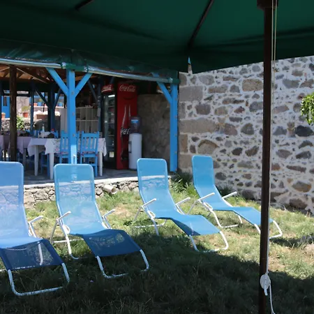Alterna Koey Evi