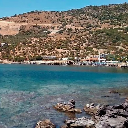 Alterna Koey Evi