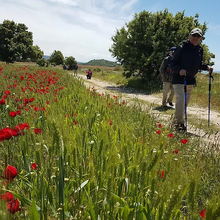 Alterna Koey Evi Venkovský dům Sokakagzi