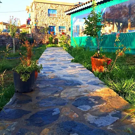 Εξοχικό σπίτι Alterna Koey Evi