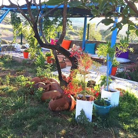 Alterna Koey Evi Εξοχικό σπίτι Sokakagzi