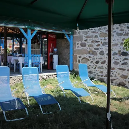 Alterna Koey Evi