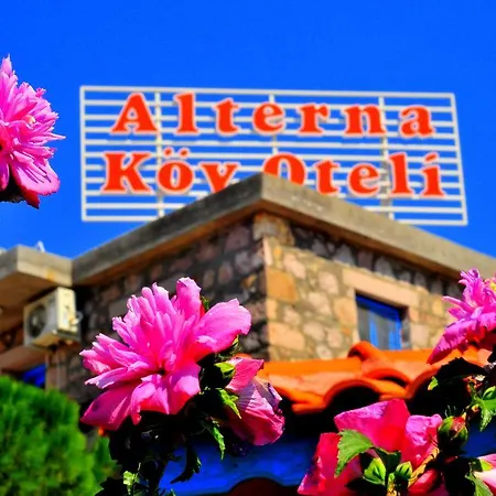 Alterna Koey Evi