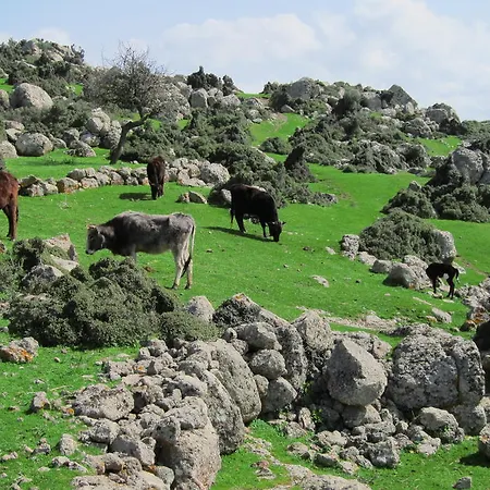 Εξοχικό σπίτι Alterna Koey Evi *