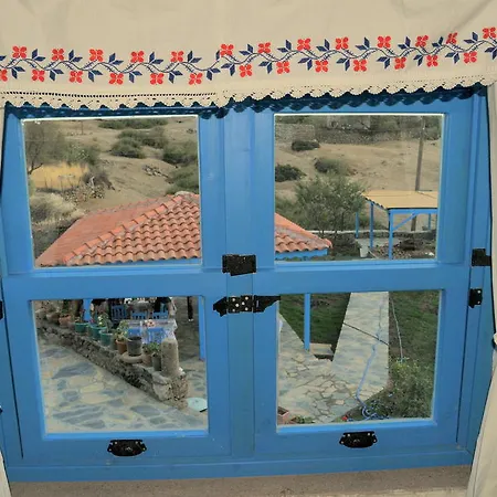 Alterna Koey Evi