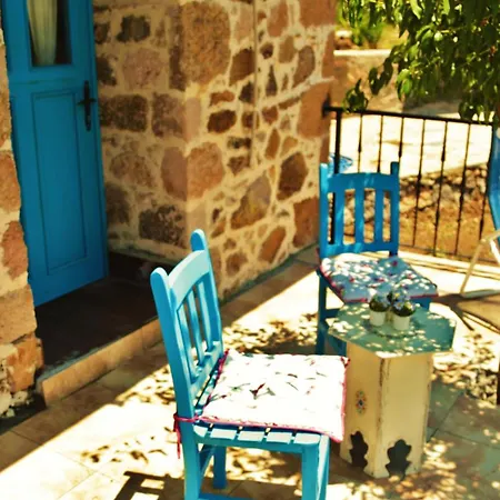 Alterna Koey Evi