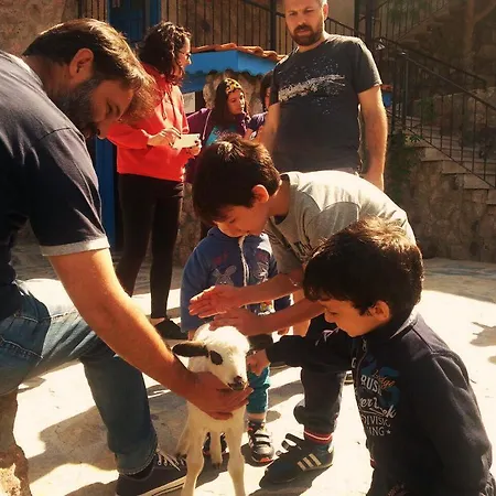 Εξοχικό σπίτι Alterna Koey Evi