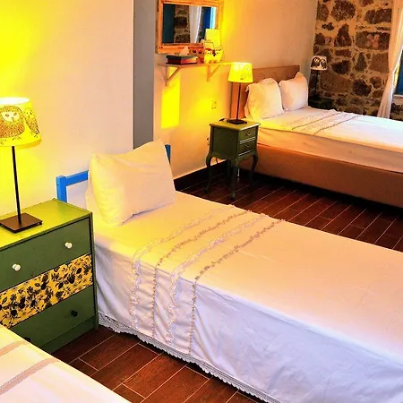 Alterna Koey Evi Country house *