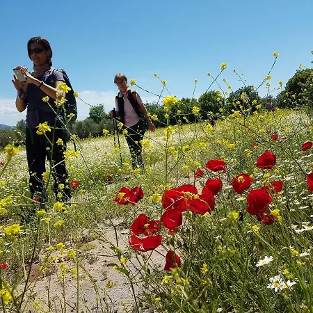 Alterna Koey Evi Landhaus Ayvacik (Canakkale)