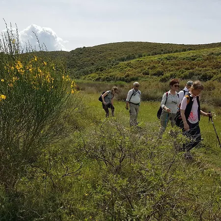 Alterna Koey Evi Ayvacik (Canakkale)