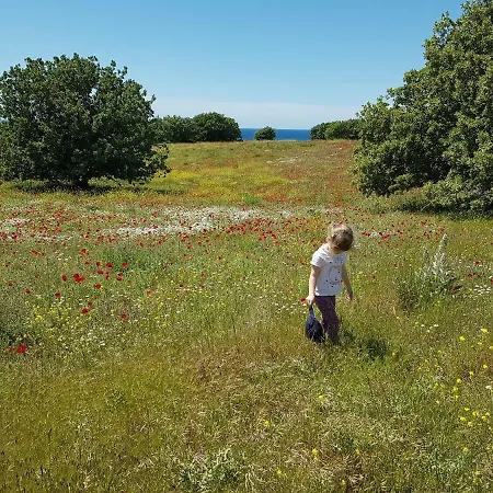 Alterna Koey Evi Landhaus *
