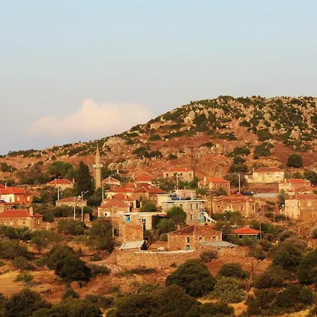 Εξοχικό σπίτι Alterna Koey Evi